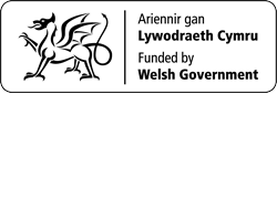 Welsh Government and Techiaith Logo